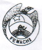[LOGO FEMACHI]