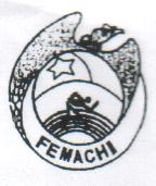 [LOGO FEMACHI]